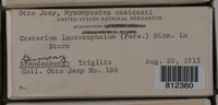 Image Associated With the Occurence